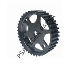 PEUGEOT 307 (2001-2009) EKSANTRİK DİŞLİSİ EMME (MONTAJ)