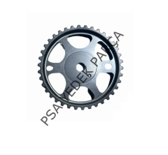 PEUGEOT 307 (2001-2009) EKSANTRİK DİŞLİSİ EMME (MONTAJ)