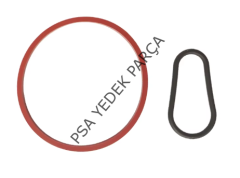 CİTROEN C-ELYSEE (2012-2024) FREN VAKUM POMPA CONTASI (ORJİNAL)