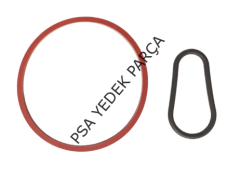 CİTROEN C-ELYSEE (2012-2024) FREN VAKUM POMPA CONTASI (İTHAL)