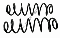 CİTROEN C-ELYSEE (2012-2024) ARKA HELEZON YAY TAKIMI (FROW)